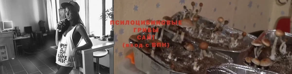 гидра Верхнеуральск