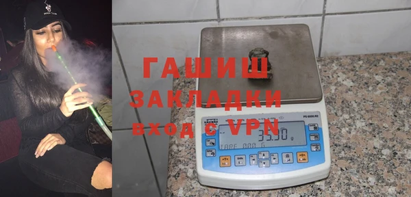 крисы Бородино