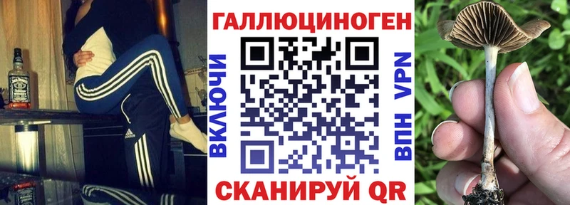 Псилоцибиновые грибы Cubensis  Злынка 